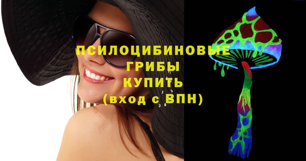 гашик Абинск